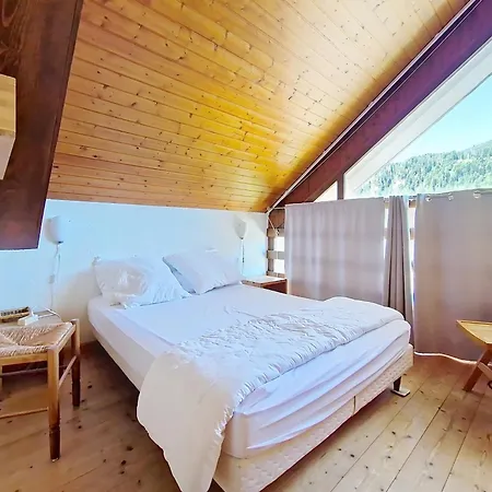 Castel Des Neiges Csa4 Centre&view 6 Pers Apartment